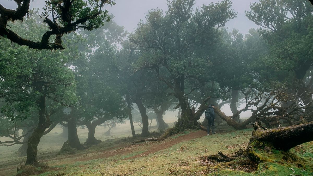 Nejtajemnějšímu místu Madeiry sluší nepropustná mlha